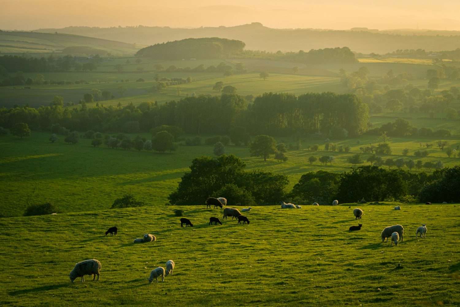 Shared Ownership in Yorkshire