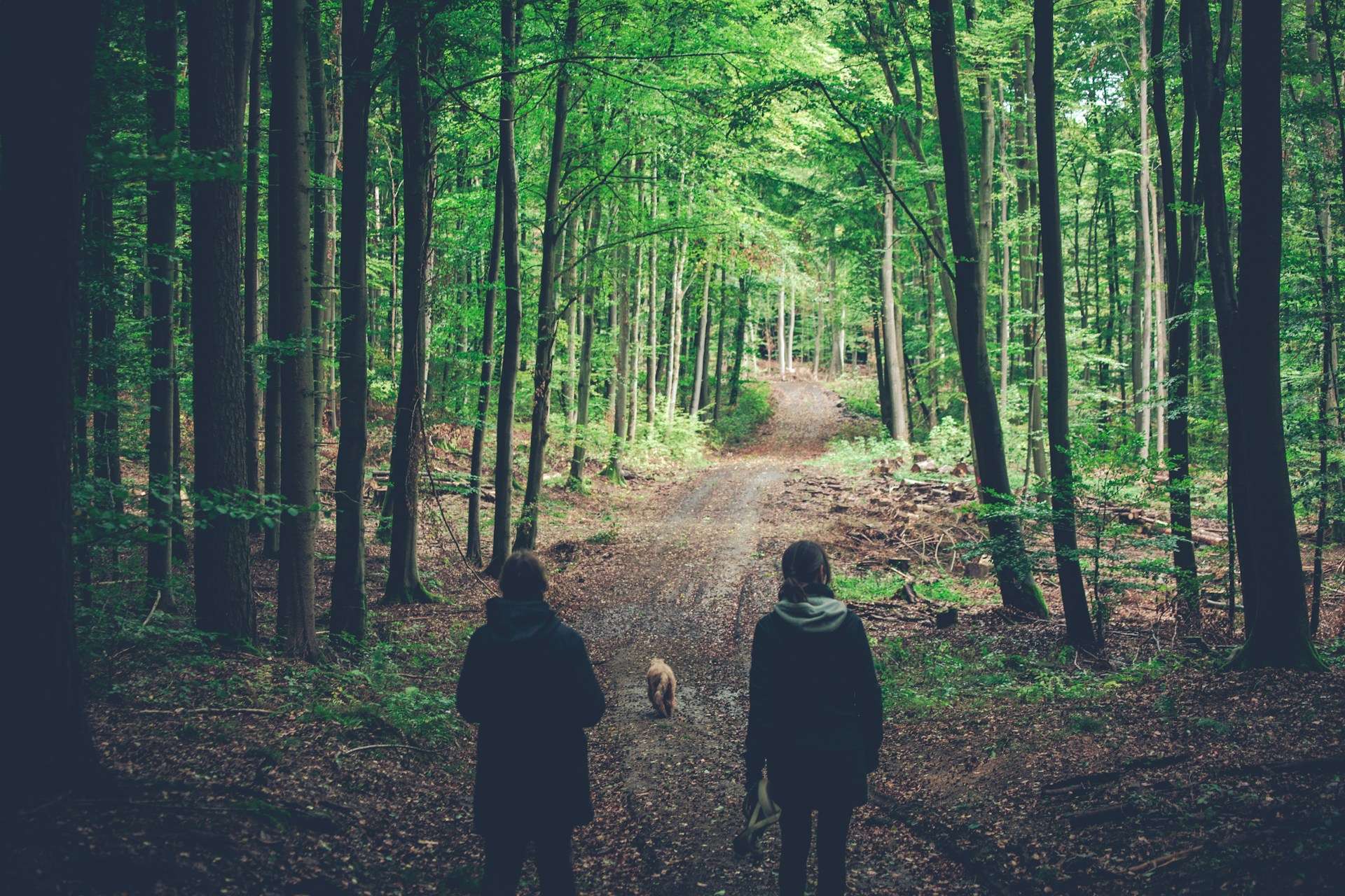 Best Places for Walks in Bristol