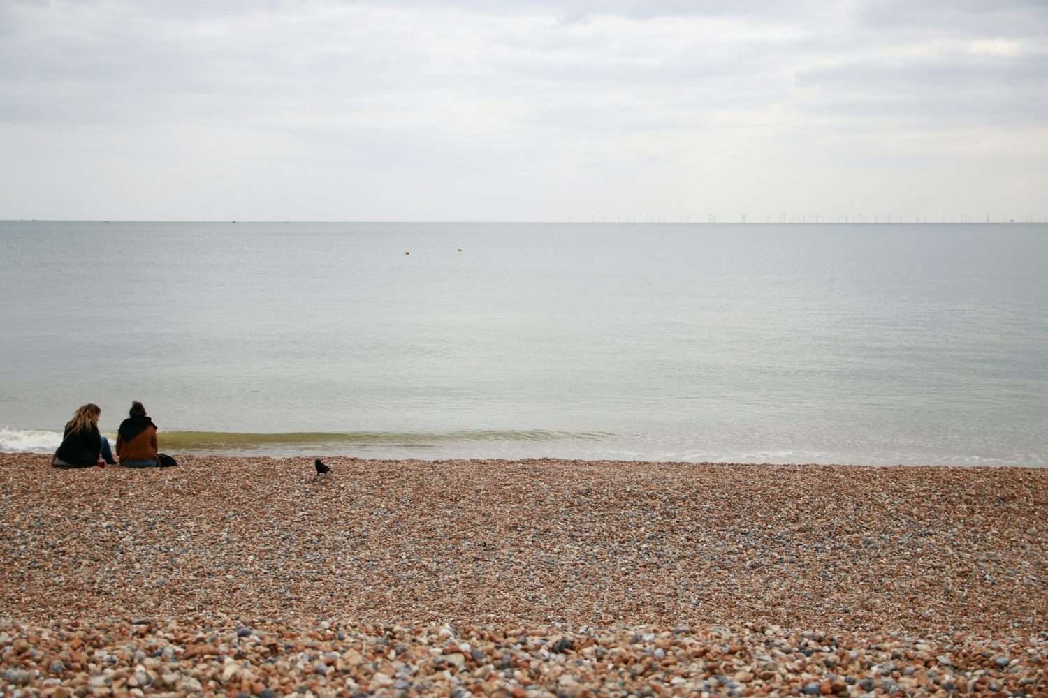 Living in Saltdean Area Guide
